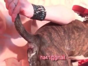 A beastly and extreme experience