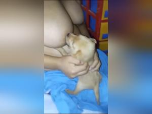 Discover the most extreme zoophilia video featuring a woman and a dog