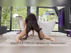 Broken animals, sex and taboos