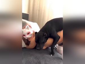 Totaleinreichung, absoluter Meisterhund