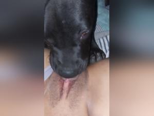 Hardcore-Zoophilie: Ungehemmter Tiersex