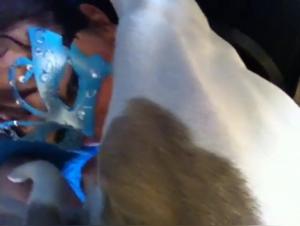 Amateur video of sex with a dog: discover the extreme