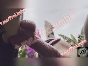 xxxanimal in zoo tube