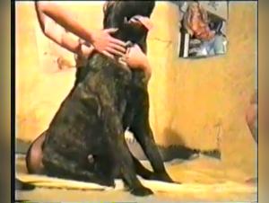 Esplora il bordello proibito: donne e animali in un tango di desiderio