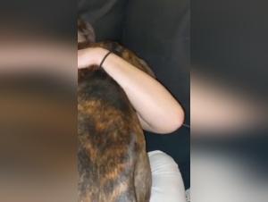 Esplora le vette della dissolutezza animale: orgasmi estremi e irragionevoli