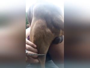Szene einer Frau und eines Hundes in Aktion