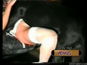 Vintage bestiality sex video with a brunette and her dog