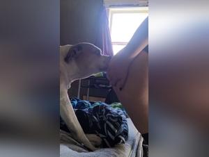SexyVideo: Una gata ama la compania de su perro