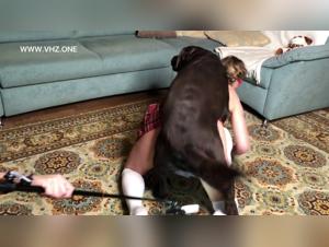 Discover the pleasure of zoophilia in our dog sex video