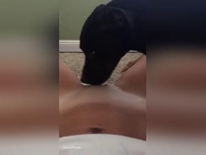 Amateur Sex Video Bestiality Zoophilia