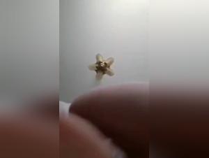 Dog Sex Video: Bestiality and Extreme