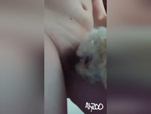 Lesbian Sex Exchange: Pussy Fucker for Women, Doggy Style Extreme XXX