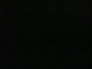 Video of Extreme Sex with a Dog