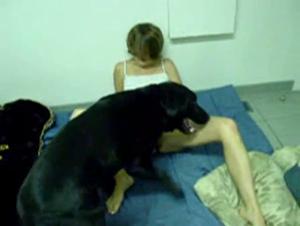Dissolutezza canina: scatena i tuoi desideri piu sfrenati con queste scene hardcore