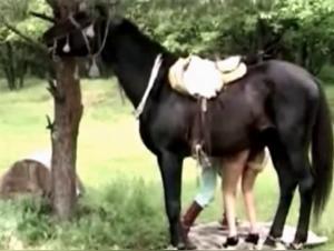 Zoophilie torride et jouissance partagée