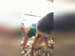 Bestiality sex video with a dog