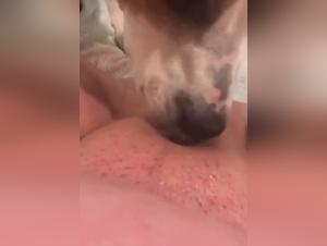 Intense moments between a BBW woman and her canine companion