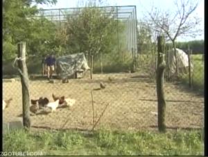 Bi Acts in Zoophile Videos