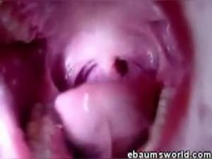 Animal sex: a woman and a lizard