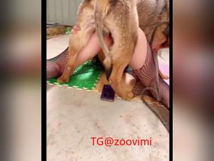 Il cane lecca la ragazza cinese