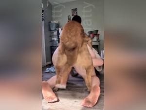 Part One of a Dark Saga: Canine Domination and Desired Submission