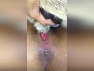 Sex video with a dog: an extreme experience