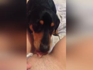 Hard zoophilia scene: the dog and the young woman