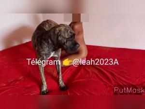 Zoophilia video: discover the pleasure with a dog