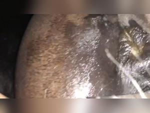 Discover the Long Version of this Episode 1 of LoveforHorses