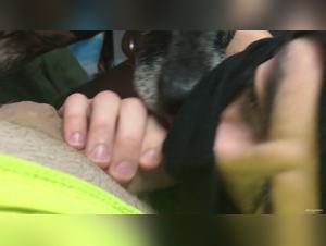 Potere femminile, obbedienza animale, piacere estremo