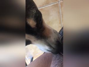 leccate profonde, fupa fa schifo, istinto animale esacerbato