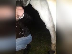 Wild orgasms, raw domination