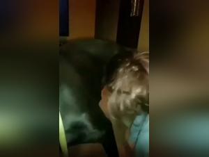 Discover the World of Dog Sex Videos