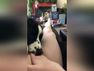 Bestial sex and zoophilia - A hot and hard video