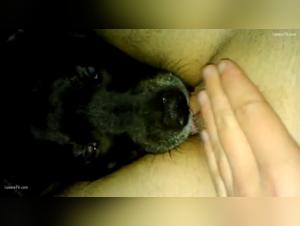 Raw Canine Zoophilia
