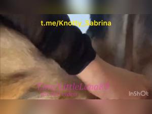 Animal Domination: The Dog Devours the Woman
