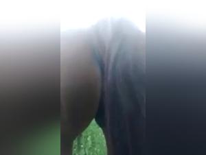 Bestiality: An Extreme Encounter