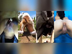 Heisse Schlampen mit Sexkatzen - Frauen in der Holle ihrer Lust.