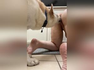 Fantasie sugli animali: libera i tuoi desideri