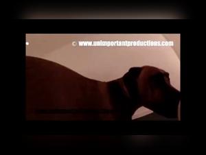 La scene salee qui fait trembler les couples : une jeune fille chatte avec son chien, puis sucrate sa bouche et baise avec elle.