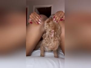 Dog Sex Video: Watch this submissive woman get fucked doggy style by a dog