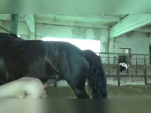 Vidéo de bestialité : découvrez les plaisirs interdits