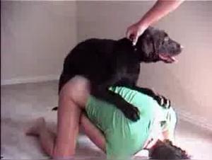Esperienza sensoriale proibita: cane e donna in azione