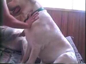 Shocking and exciting bestiality video