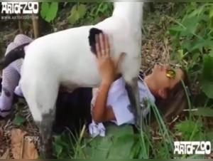 Zoophilia video: sex with dog in lingerie