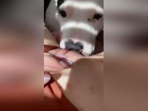 Extreme images of zoophilia not to be missed