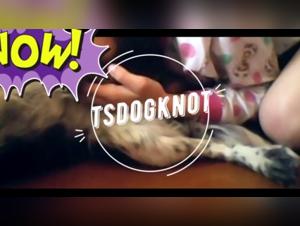 An Extreme Sexual Experience with a Dog