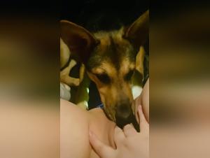 Bestial relationship with a dog - One of a kind video