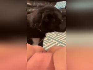Bestiality sex video with dog