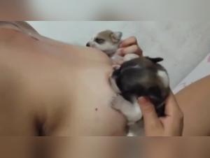 An Extreme Zoophile Experience